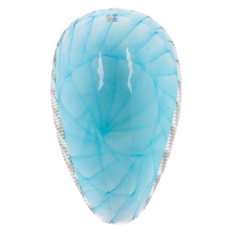 Декор настольный Yalos Shell 19см 738550 Голубой, фото 4