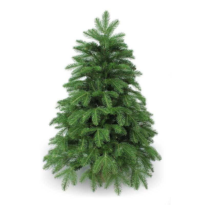 

Ель искусственная Beatrees Anson 0,9м, Зеленый