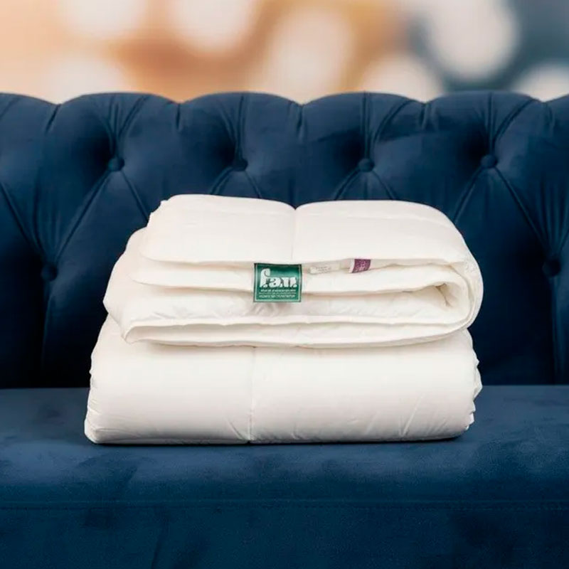 

Одеяло 1,5-спальное Frankenstolz Munchen 150x200см