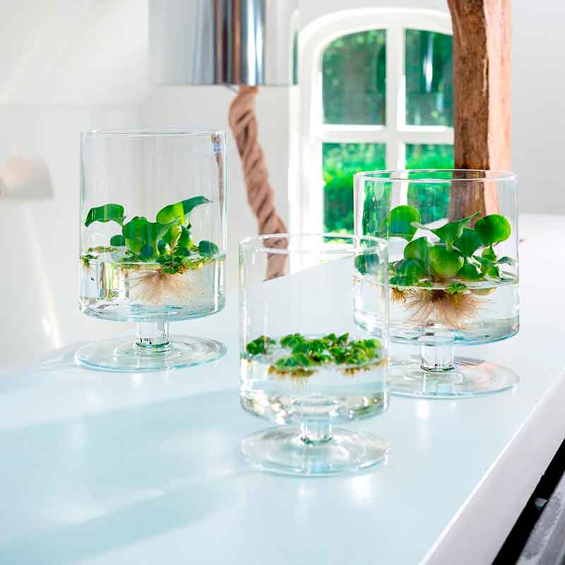 Подсвечник-ваза Hakbijl Glass Yvonn 24x19см upaqua crystal glass tank 4in1 l набор аквариумов ultra white 4в1 большой 13 21 36 65 литров