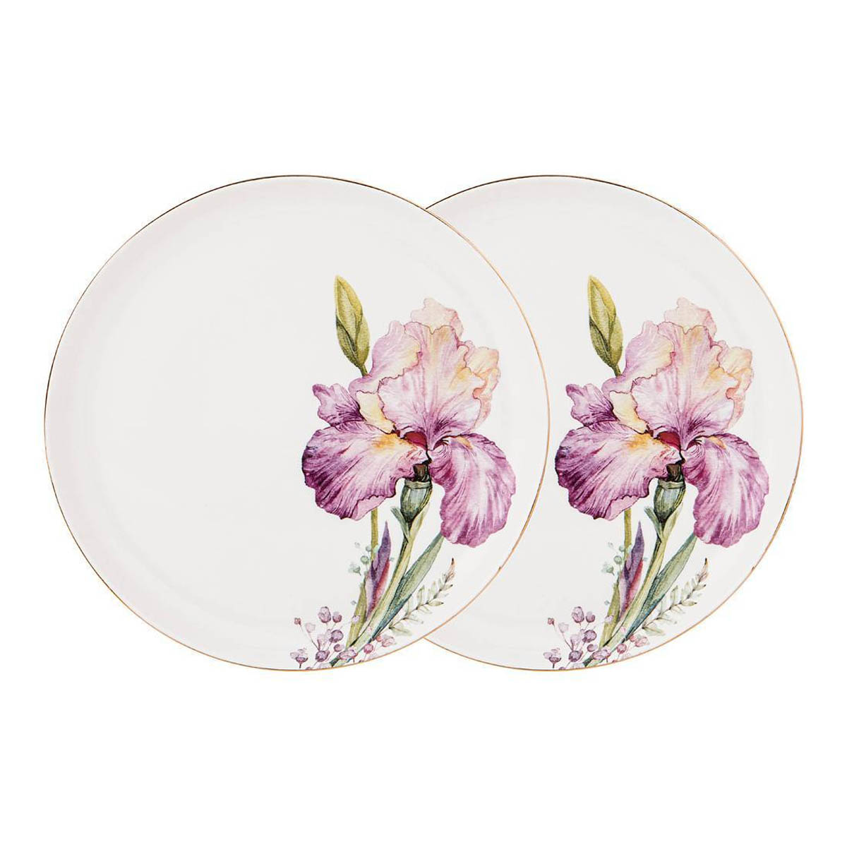 Набор тарелок обеденных Гарда Декор Ирисы, 2шт Garda Decor 590-349, цвет белый - фото 1