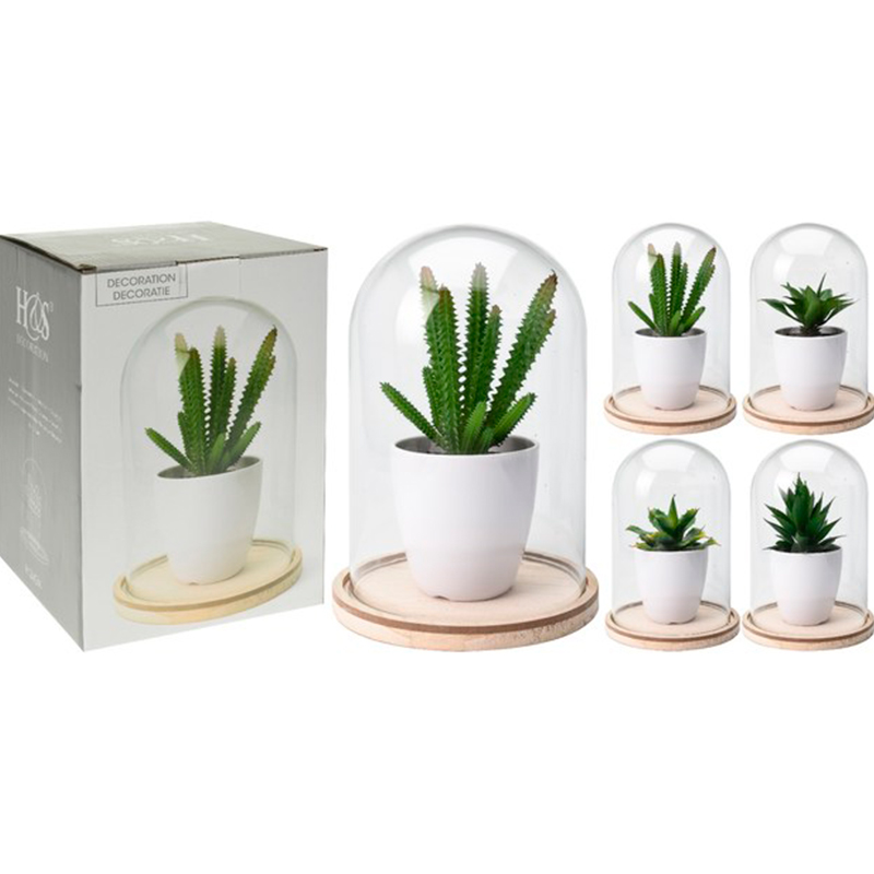 

Суккулент в горшке со стеклянным куполом Гарда Декор 17,5x17,5x23,5см, Белый