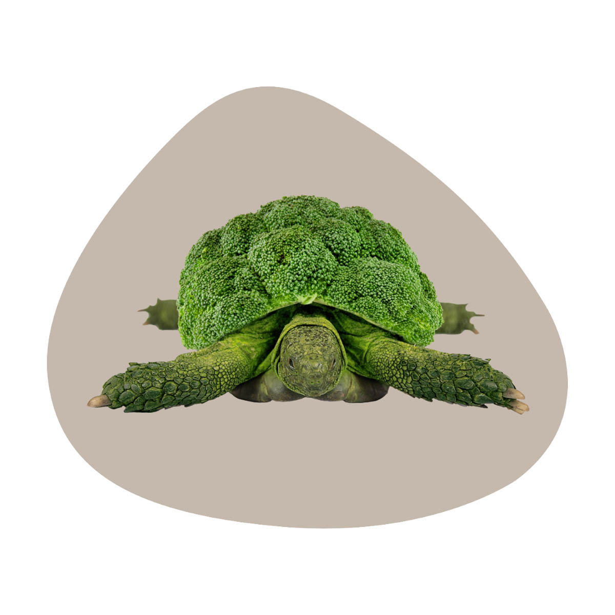 Салфетка сервировочная WD Lifestyle Mykonos Turtle