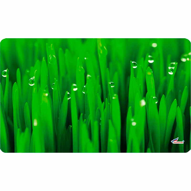Универсальный коврик Shahintex Spring Photoprint SH P131 60x90см jbl proscape tool s 16 spring пружинные ножницы для мхов и газонов в аквариуме 16 см 18 гр