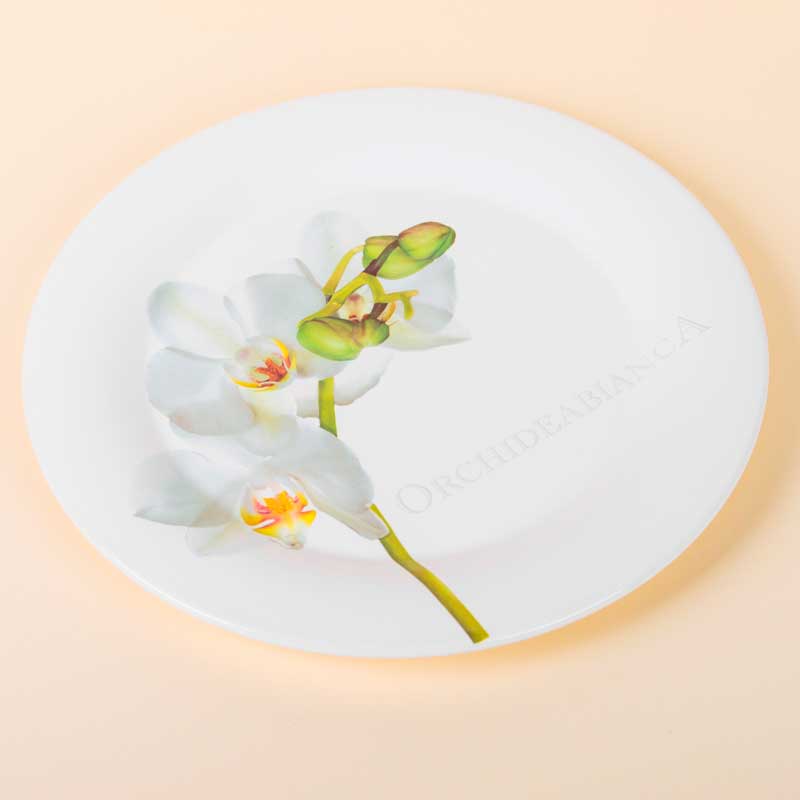 Тарелка для фруктов Ceramiche Viva Orchideabianca 20см Ceramiche Viva T01_06018, цвет разноцветный - фото 1