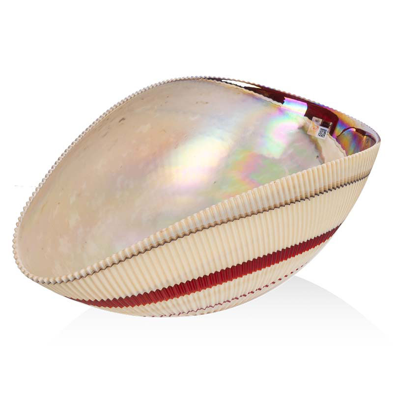 

Блюдо Yalos Shell 44x23x19см, айфори с красным