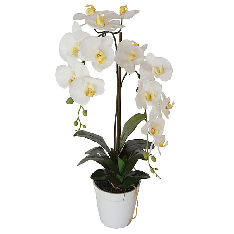 Растение искусственное Garda Decor Орхидея белая в горшке гигрофила пиннатифида в горшке