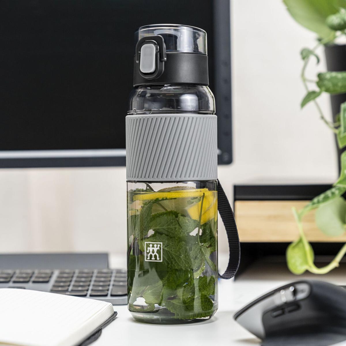 

Бутылка для воды ZWILLING Bottle, цвет серый