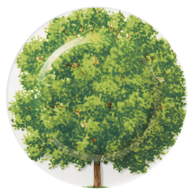 тарелка steelite визувиус бёрнт эмералд пирожковая 154х154х10мм фарфор зеленый Тарелка пирожковая 16см Taitu Freedom. Wood
