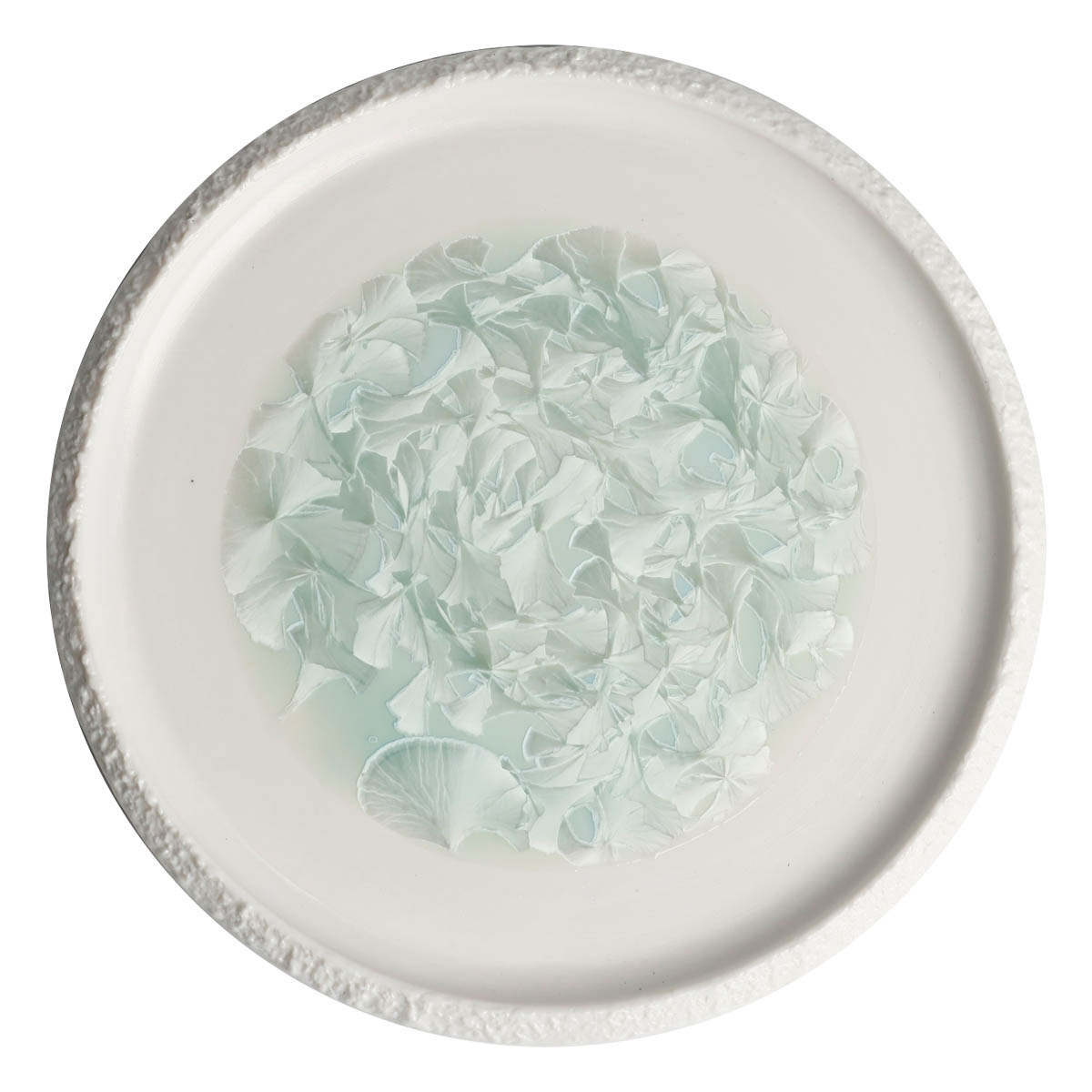 

Тарелка с вертикальным бортом Home Chef Frost 20,5см