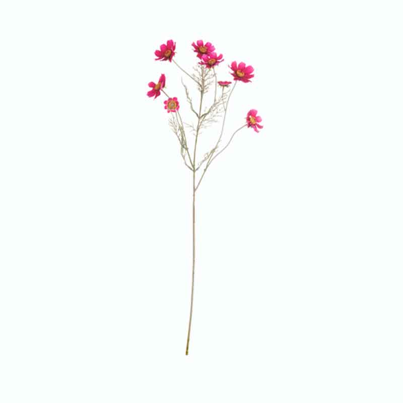 Космея декоративная Asa Selection Deko 76см семена цветы космея морская раковина 0 3 г цветная упаковка седек