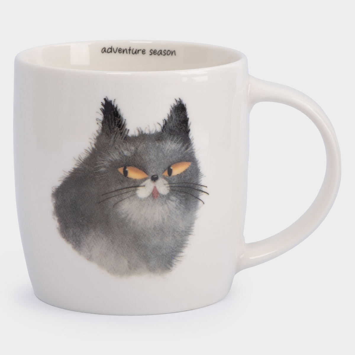 

Кружка Anna Lafarg Pets Серый кот и Пес