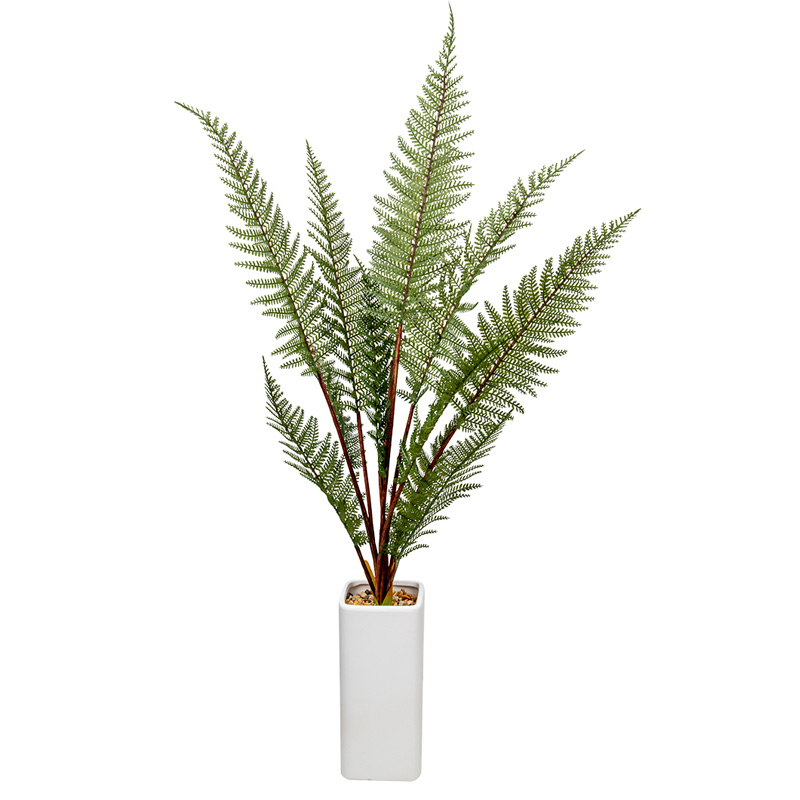 

Папоротник в керамическом горшке, Д110 Ш110 В930