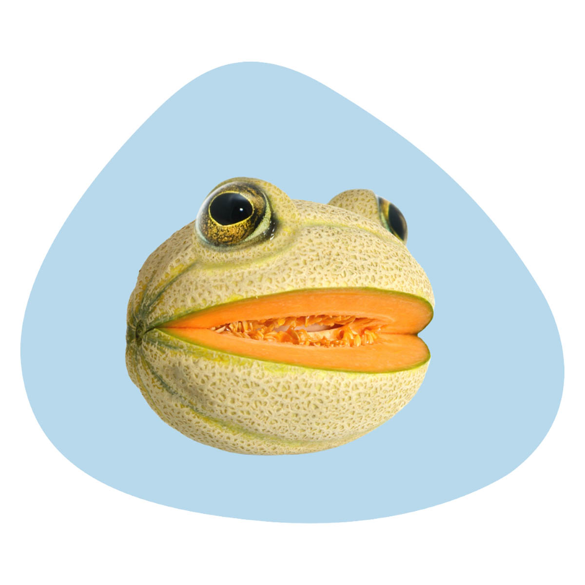 Салфетка сервировочная WD Lifestyle Mykonos Frog
