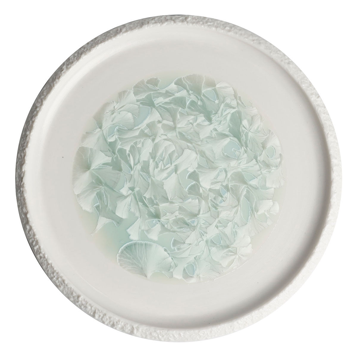 Тарелка с вертикальным бортом Home Chef Frost 245см 1730₽